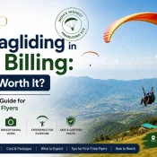 paragliding in bir billing himachal pradesh
