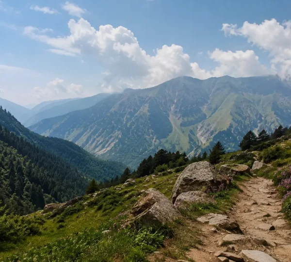 Rajgundha Trek from Bir Billing: Complete 2026 Guide (Route, Distance, Cost & Stay) 2 Rajgundha Trek from Bir Billing with scenic mountain trail and Himalayan valley views