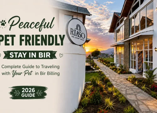 Peaceful Pet Friendly Stay in Bir: Complete Guide to Traveling with Your Pet in Bir Billing (2026)